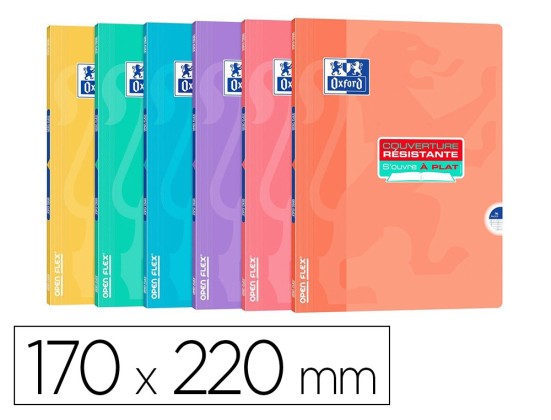 CAHIER HAMELIN OPENFLEX CAHIERS SCOL 170 X 220 MM 96 PAGE PASTEL AGRAFE