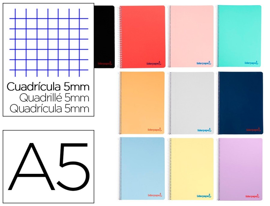 CAHIER SPI LP DIN A5 ASSORTIS 240 MICRO WONDER PAGES 90G 5X5MM TROUS