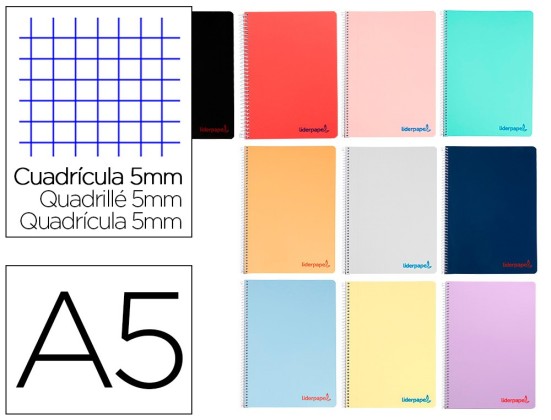 CAHIER SPI LP DIN A5 ASSORTIS 240 MICRO WONDER PAGES 90G 5X5MM TROUS