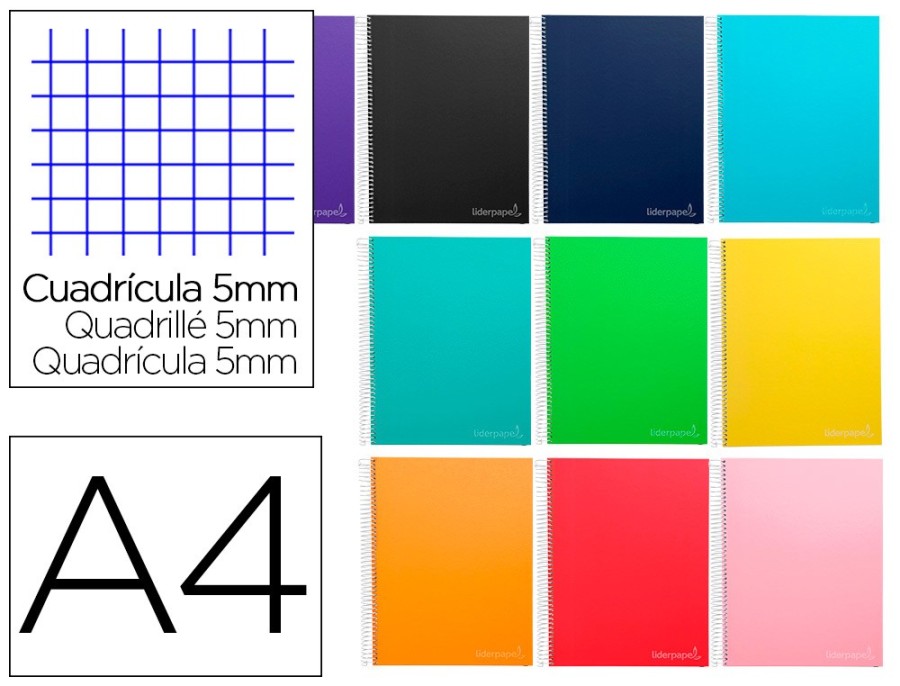 CAHIER SPI LP DIN A4 ASS 240 MICRO WONDER PAGES 90G 5X5MM TROUS