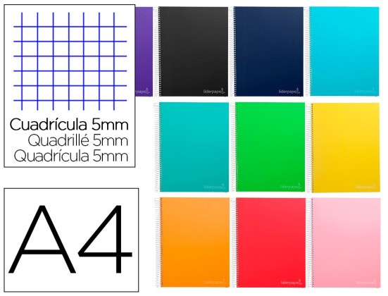 CAHIER SPI LP DIN A4 ASS 240 MICRO WONDER PAGES 90G 5X5MM TROUS