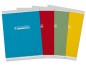 CAHIER CONQUERANT CLASS AGRAFE 240X320 48 PAGES 90G SEYES RECYCLE