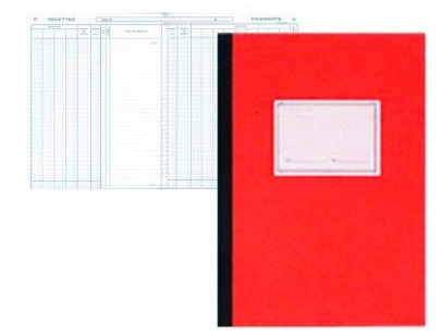 REGISTRE COMPTABLE PIQUE ELVE 13 COLONNES/PAGE 25F 320X250MM