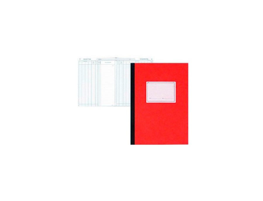 REGISTRE COMPTABLE PIQUE ELVE 13 COLONNES/PAGE 25F 320X250MM