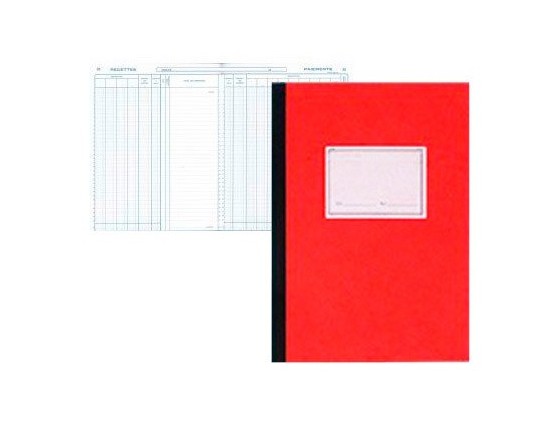 REGISTRE COMPTABLE PIQUE ELVE 13 COLONNES/PAGE 25F 320X250MM