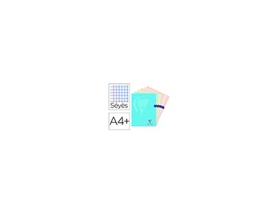 CAHIER PIQUE MIMESYS CLAIREFONTAINE CAHIERS SCOLAIRE ASSORTI PASTEL A4+ COUL 96 Pages 5/5